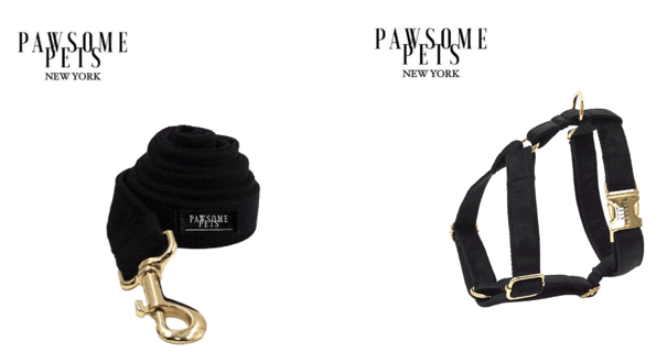 Conjunto Correa y Arnés Step - In - Negro - Dulces Mascotas BCN