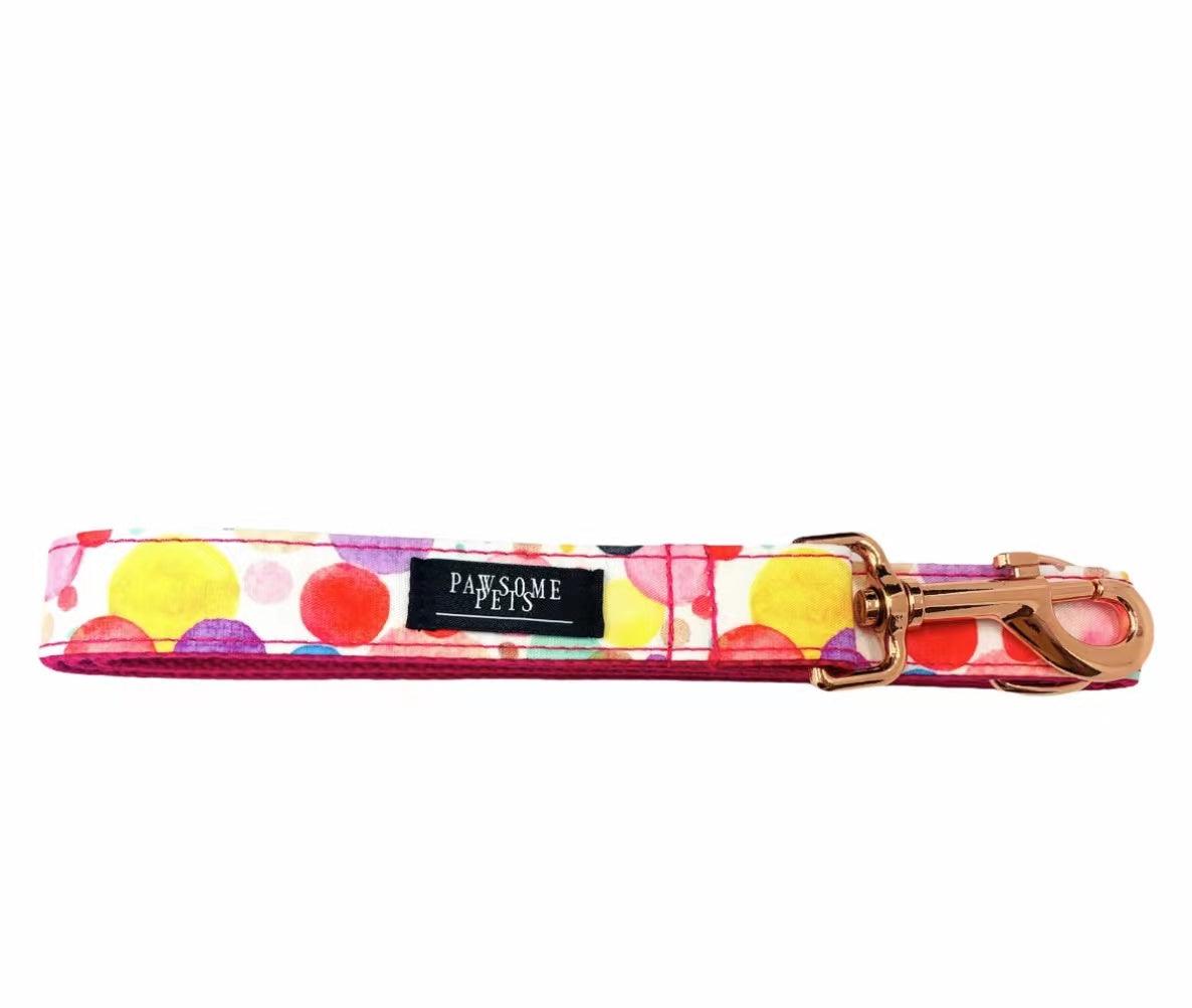 Conjunto Correa y Arnés Step - In - Oh My Bubbles - Dulces Mascotas BCN