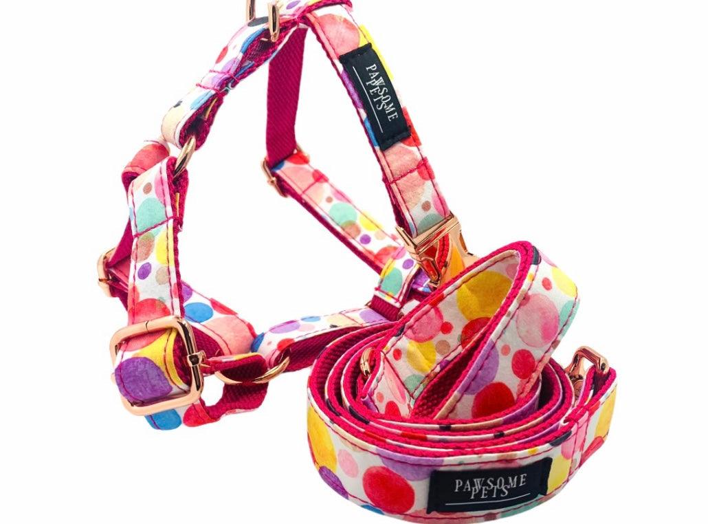 Conjunto Correa y Arnés Step - In - Oh My Bubbles - Dulces Mascotas BCN