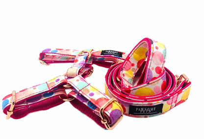 Conjunto Correa y Arnés Step - In - Oh My Bubbles - Dulces Mascotas BCN