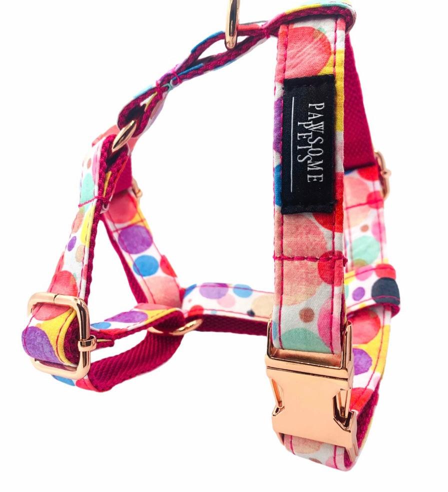Conjunto Correa y Arnés Step - In - Oh My Bubbles - Dulces Mascotas BCN