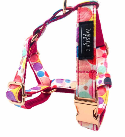 Conjunto Correa y Arnés Step - In - Oh My Bubbles - Dulces Mascotas BCN