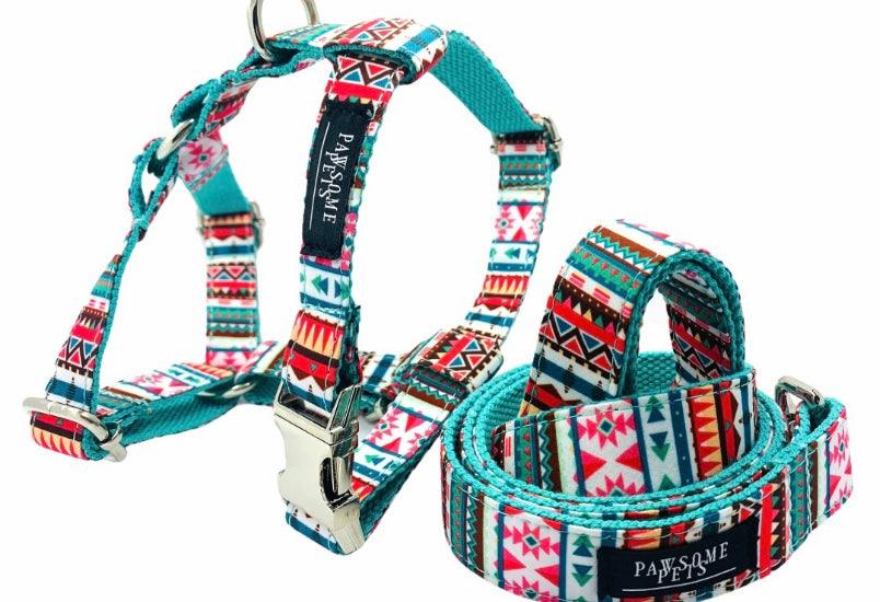 Conjunto Correa y Arnés Step - In - Tropical - Dulces Mascotas BCN