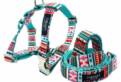 Conjunto Correa y Arnés Step - In - Tropical - Dulces Mascotas BCN