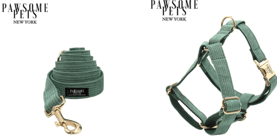 Conjunto Correa y Arnés Step - In - Verde Aceituna - Dulces Mascotas BCN
