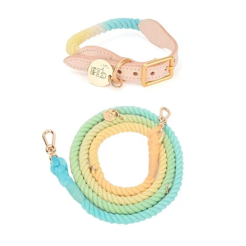 Conjunto de Correa de Algodón Manos Libres y Collar de Piel a Juego - Bubble - Dulces Mascotas BCN