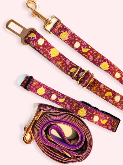 Conjunto de Paseo Pawsome Pets New York - Bird Song (7 piezas) - Dulces Mascotas BCN
