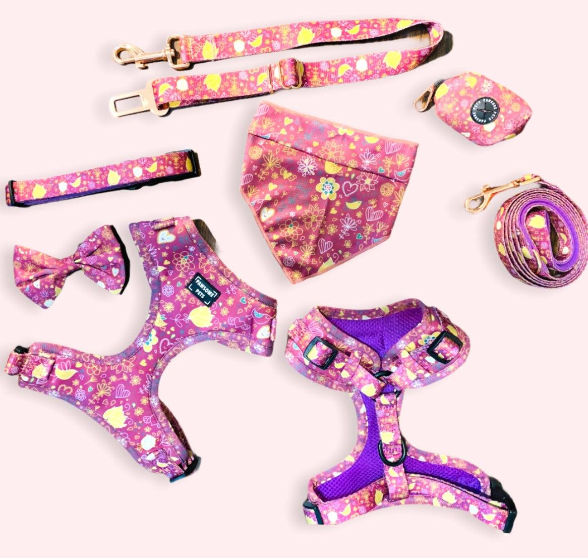 Conjunto de Paseo Pawsome Pets New York - Bird Song (7 piezas) - Dulces Mascotas BCN