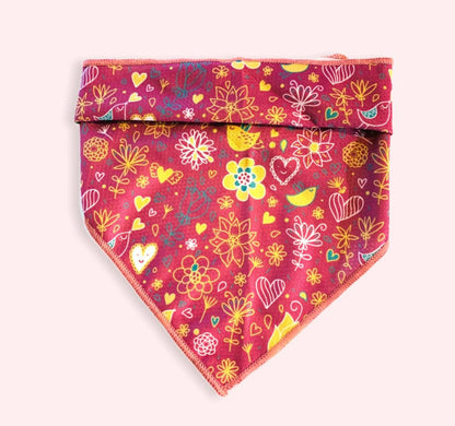 Conjunto de Paseo Pawsome Pets New York - Bird Song (7 piezas) - Dulces Mascotas BCN