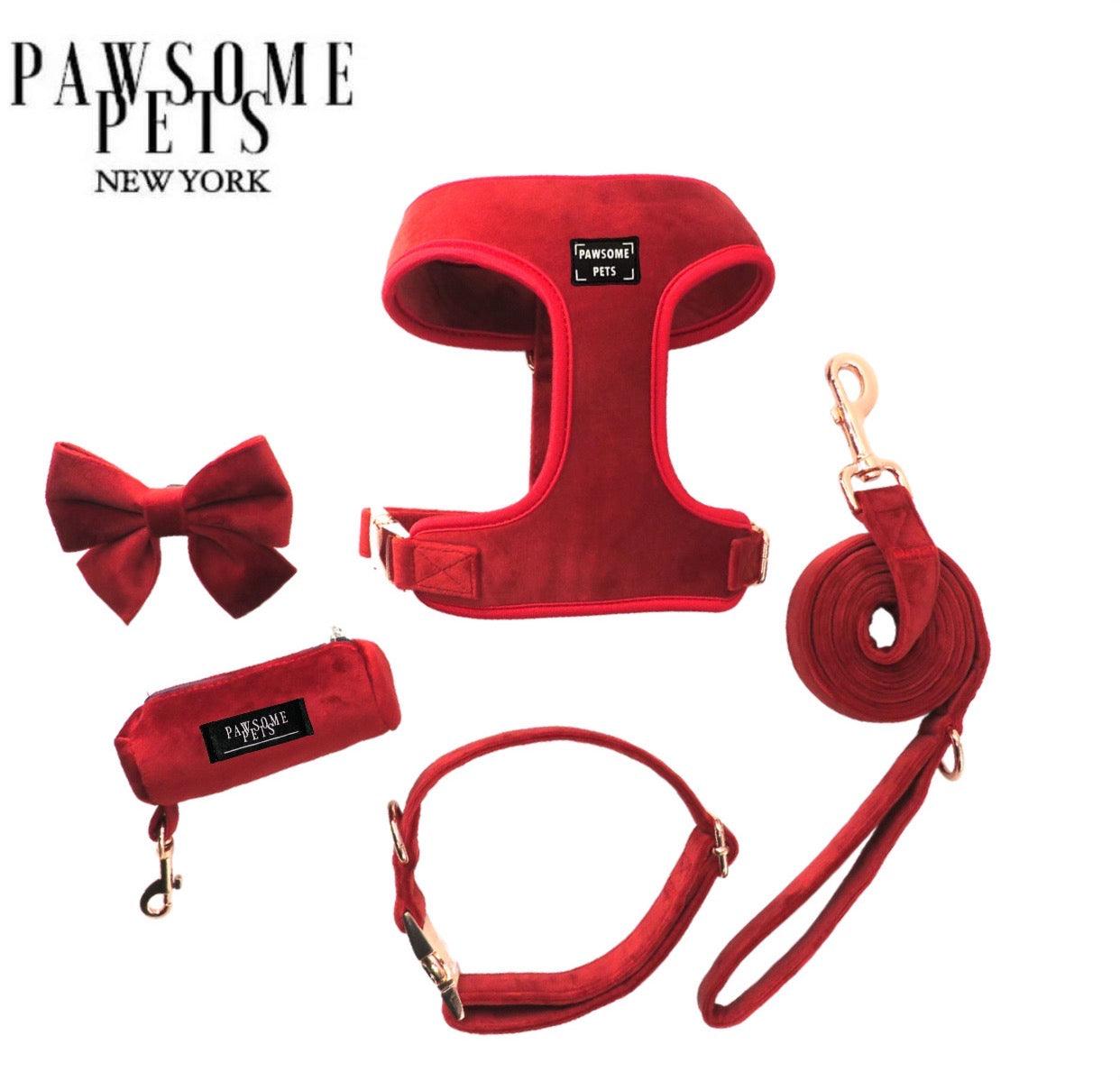 Conjunto de Paseo Pawsome Pets New York - Rojo Rosado (5 piezas) - Dulces Mascotas BCN