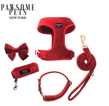 Conjunto de Paseo Pawsome Pets New York - Rojo Rosado (5 piezas) - Dulces Mascotas BCN