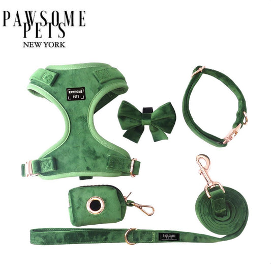 Conjunto de Paseo Pawsome Pets New York - Verde Aceituna (5 piezas) - Dulces Mascotas BCN