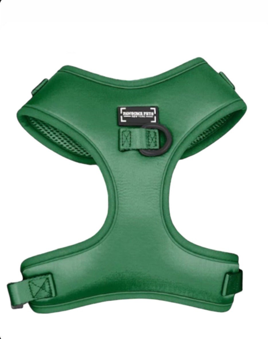 Conjunto de Paseo Pawsome Pets New York - Verde Oscuro (4 piezas) - Dulces Mascotas BCN