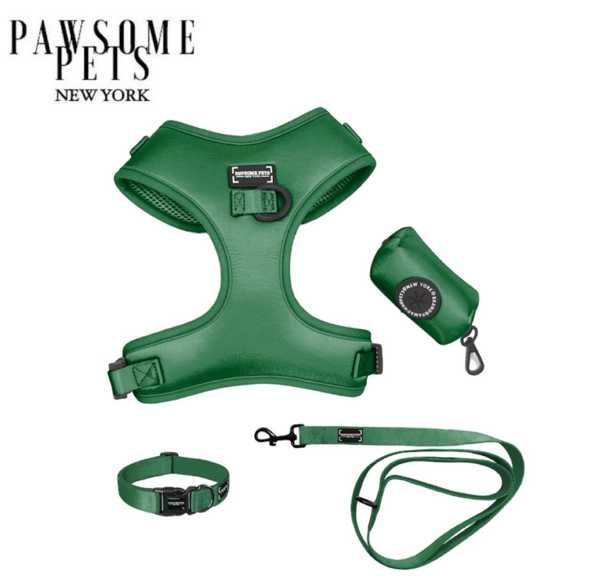 Conjunto de Paseo Pawsome Pets New York - Verde Oscuro (4 piezas) - Dulces Mascotas BCN
