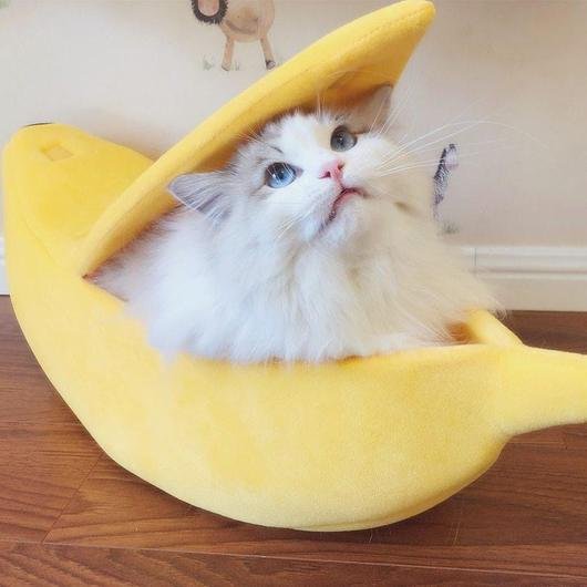 Cute Cat Banana Bed - Dulces Mascotas BCN