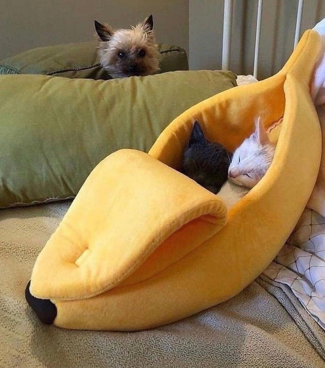 Cute Cat Banana Bed - Dulces Mascotas BCN