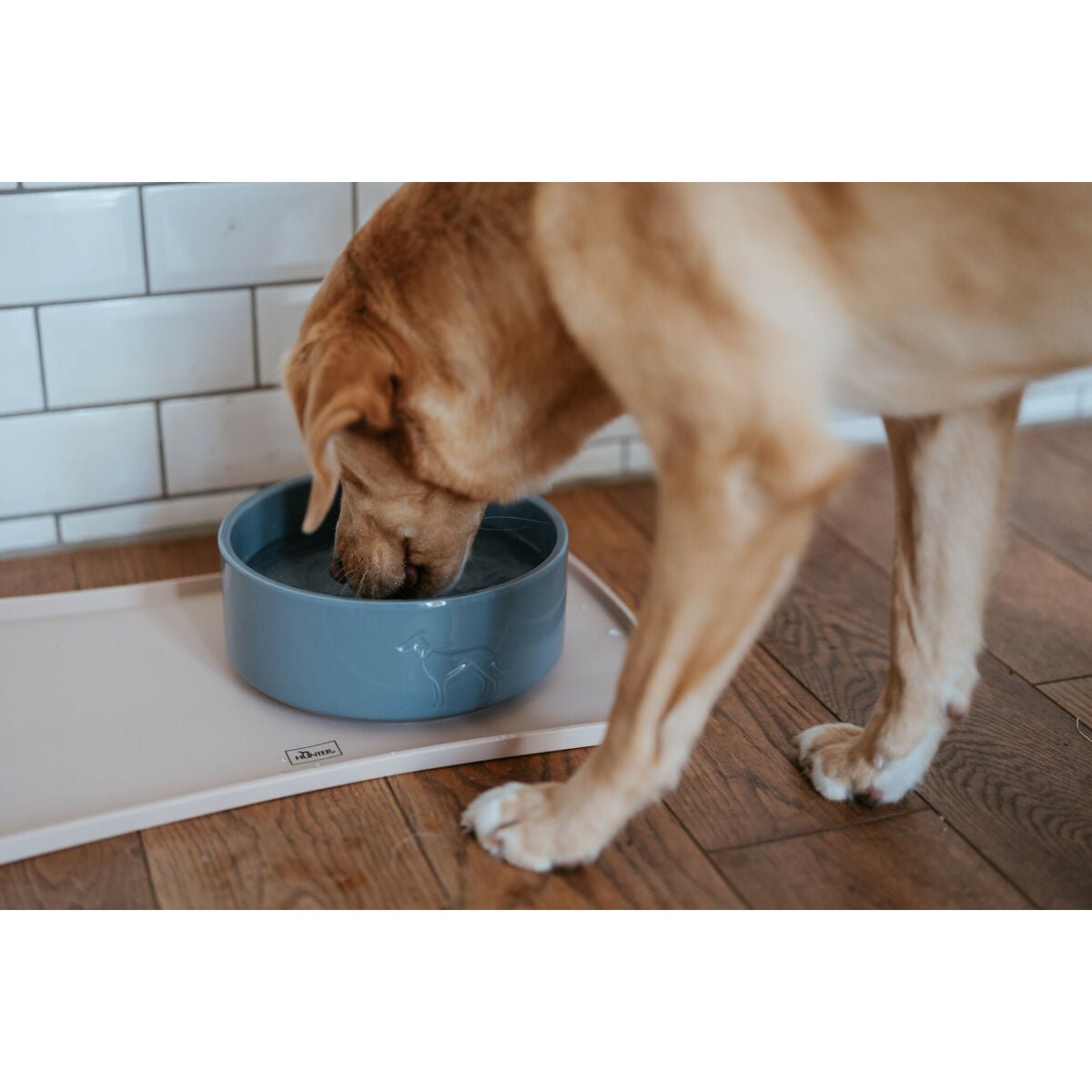 Dog Feeder Hunter OSBY GLAZED Blue Ceramic 2,5 L - Dulces Mascotas BCN
