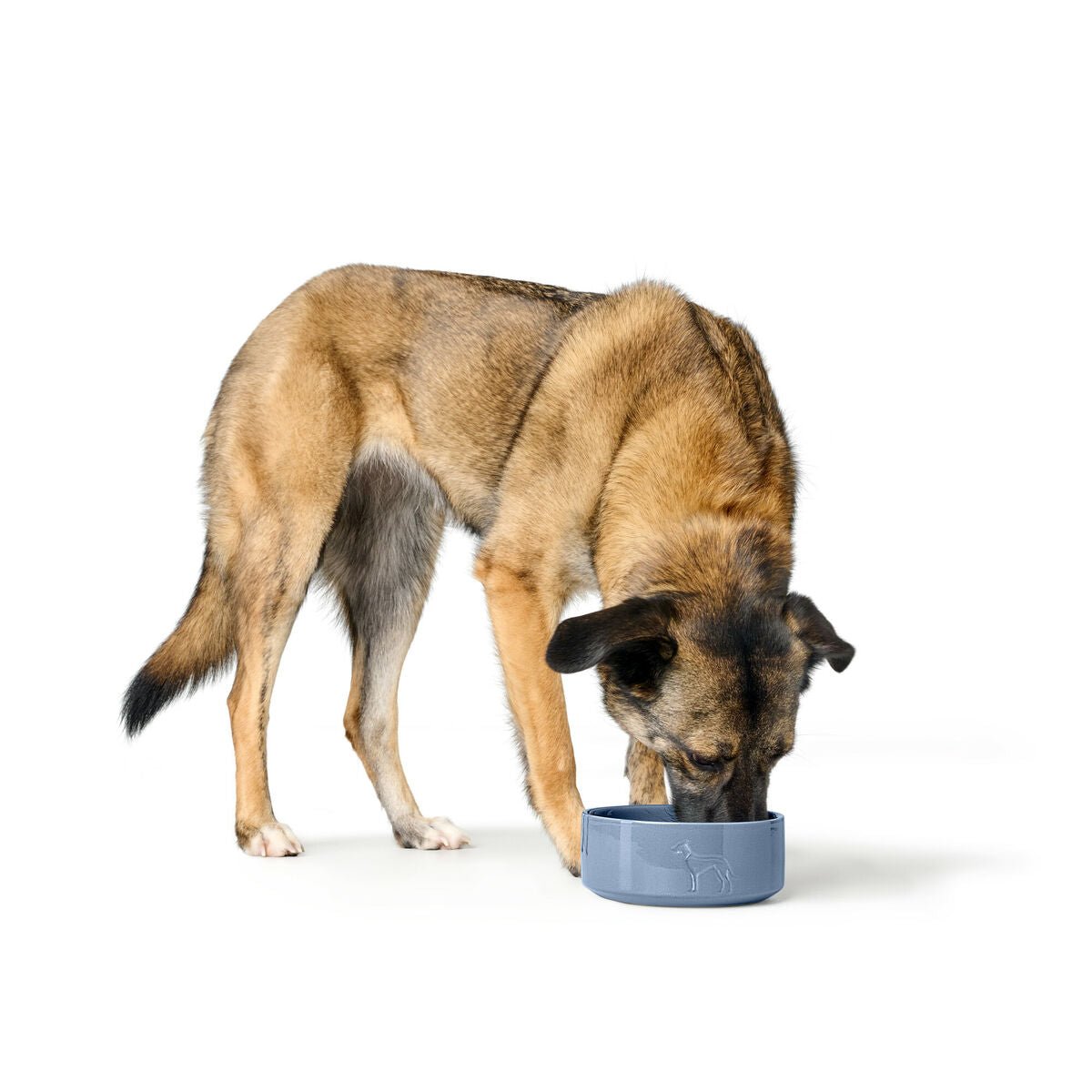 Dog Feeder Hunter OSBY GLAZED Blue Ceramic 2,5 L - Dulces Mascotas BCN