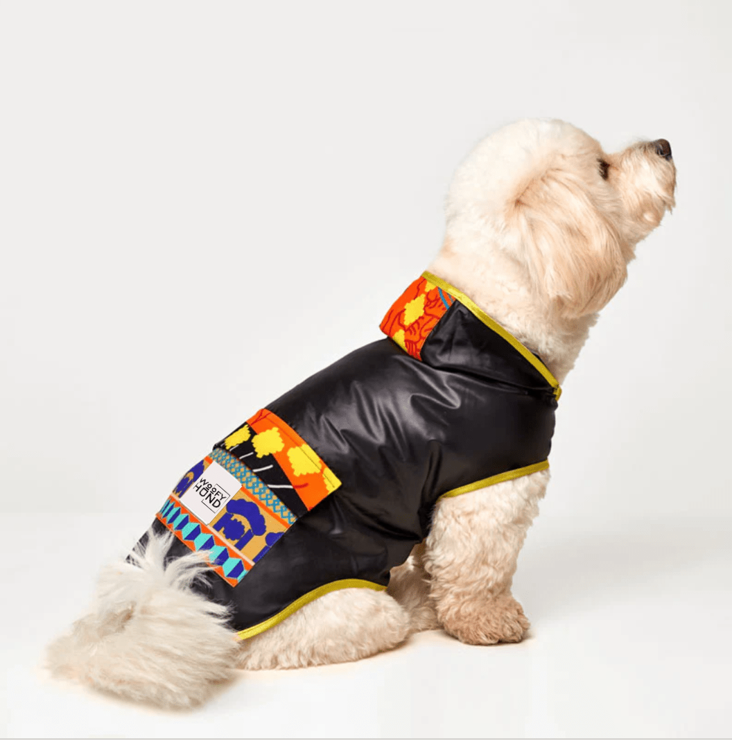 Fiesta Poncho - Dulces Mascotas BCN
