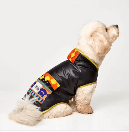 Fiesta Poncho - Dulces Mascotas BCN