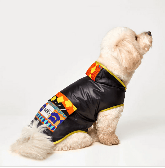 Fiesta Poncho - Dulces Mascotas BCN