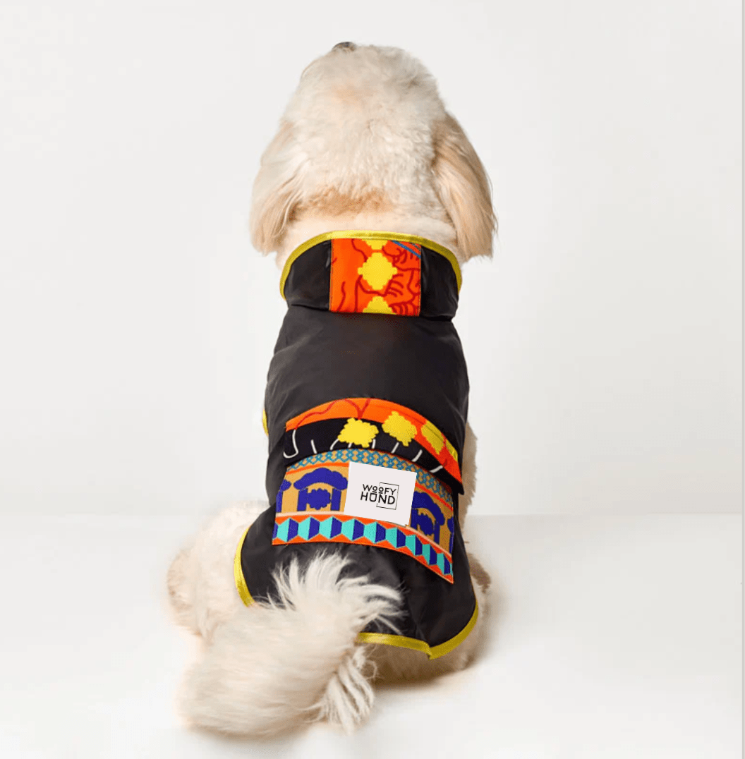 Fiesta Poncho - Dulces Mascotas BCN