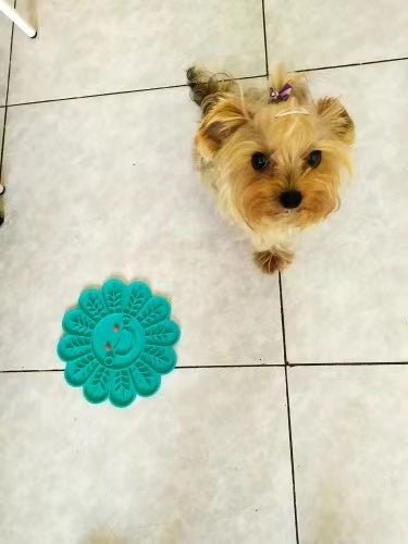 Fish Shape Silicone Bowl Dog Lick Mat Slow Feeding Food Bowl For Small Medium Dogs Puppy Cat Treat Feeder Dispenser Pet Supplies - Dulces Mascotas BCN