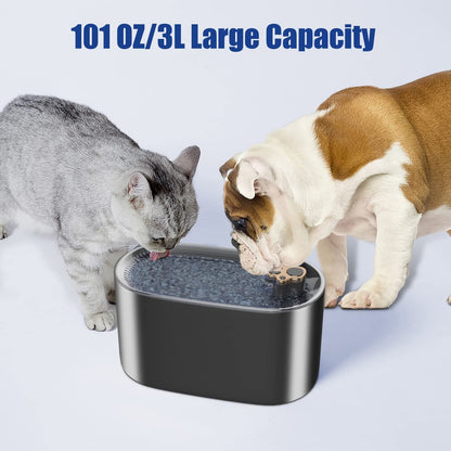 Fuente Automática 3L para Gatos y Perros. Luz ED. Ultra Silenciosa - Dulces Mascotas BCN