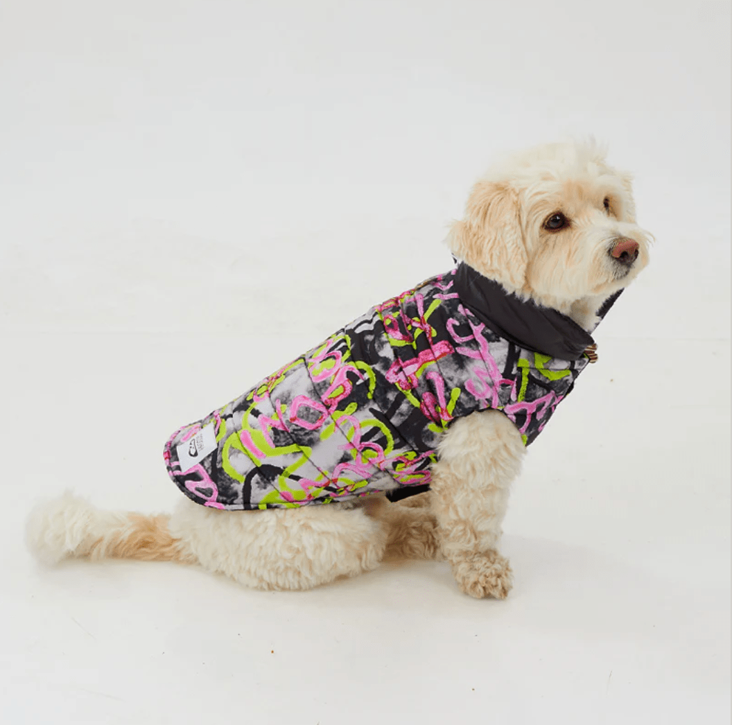 Graffiti Wasserdichte Pufferjacke - Dulces Mascotas BCN