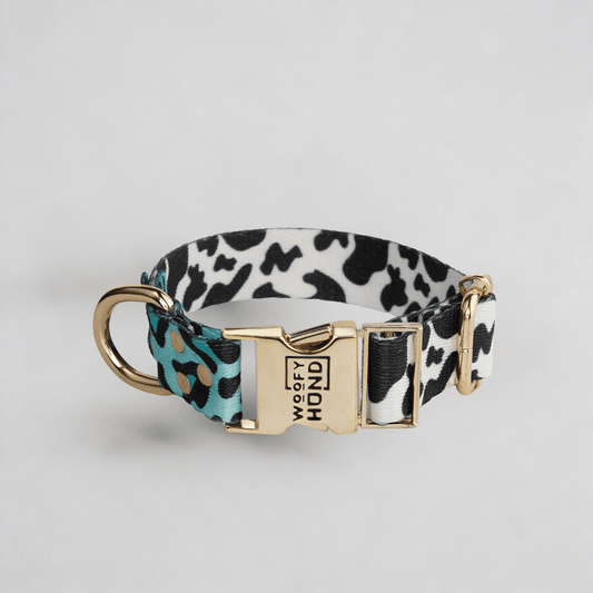 Halsband Aqua Camo - Dulces Mascotas BCN