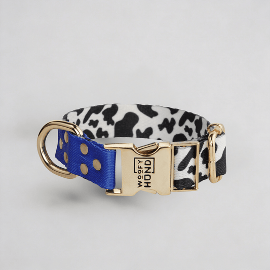 Halsband Blueberry - Dulces Mascotas BCN