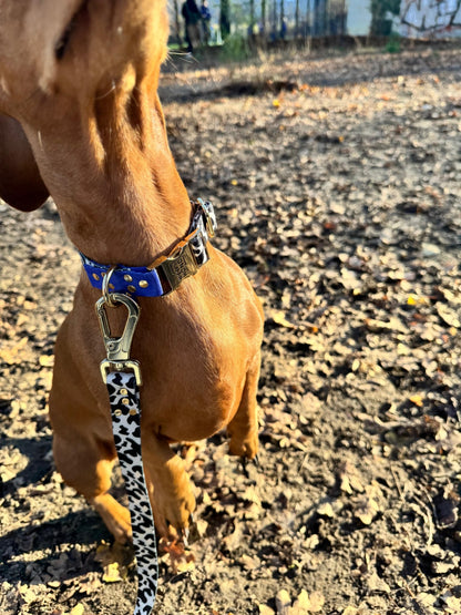 Halsband Blueberry - Dulces Mascotas BCN
