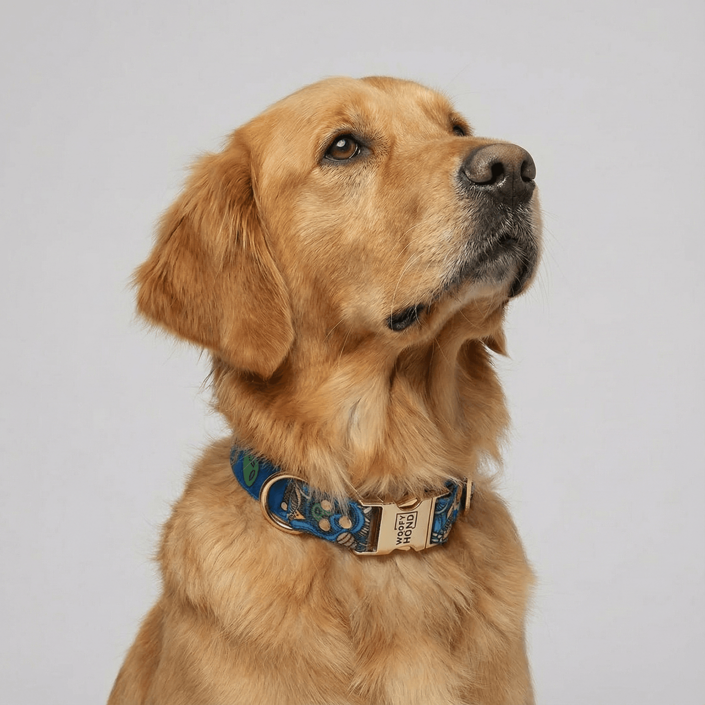 Halsband Galaxy - Dulces Mascotas BCN