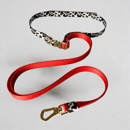 Hands - Free Hundeleine Rouge - Dulces Mascotas BCN