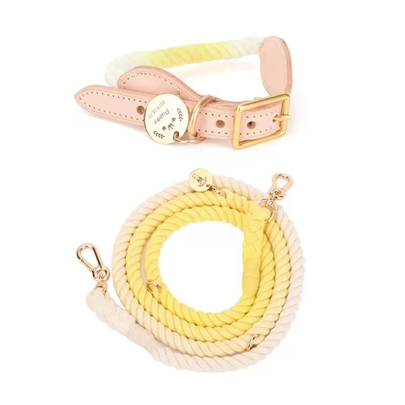 Hands Free Rope Leash and Luxe Royal Leather Collar Bundle - Lemon Squeeze - Dulces Mascotas BCN