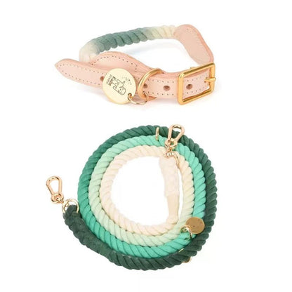 Hands Free Rope Leash and Luxe Royal Leather Collar Bundle - Ombré Green - Dulces Mascotas BCN