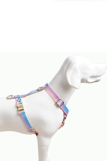 Hundegeschirr Aurora - Dulces Mascotas BCN