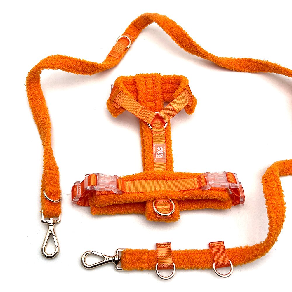 Hundegeschirr - Set Teddy Orange - Dulces Mascotas BCN