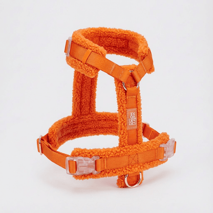 Hundegeschirr - Set Teddy Orange - Dulces Mascotas BCN