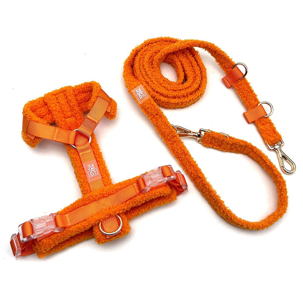 Hundegeschirr - Set Teddy Orange - Dulces Mascotas BCN