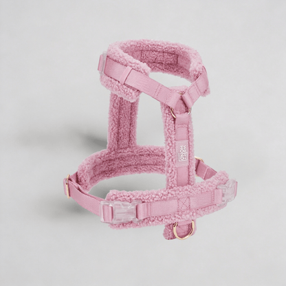 Hundegeschirr - Set Teddy Rosa - Dulces Mascotas BCN