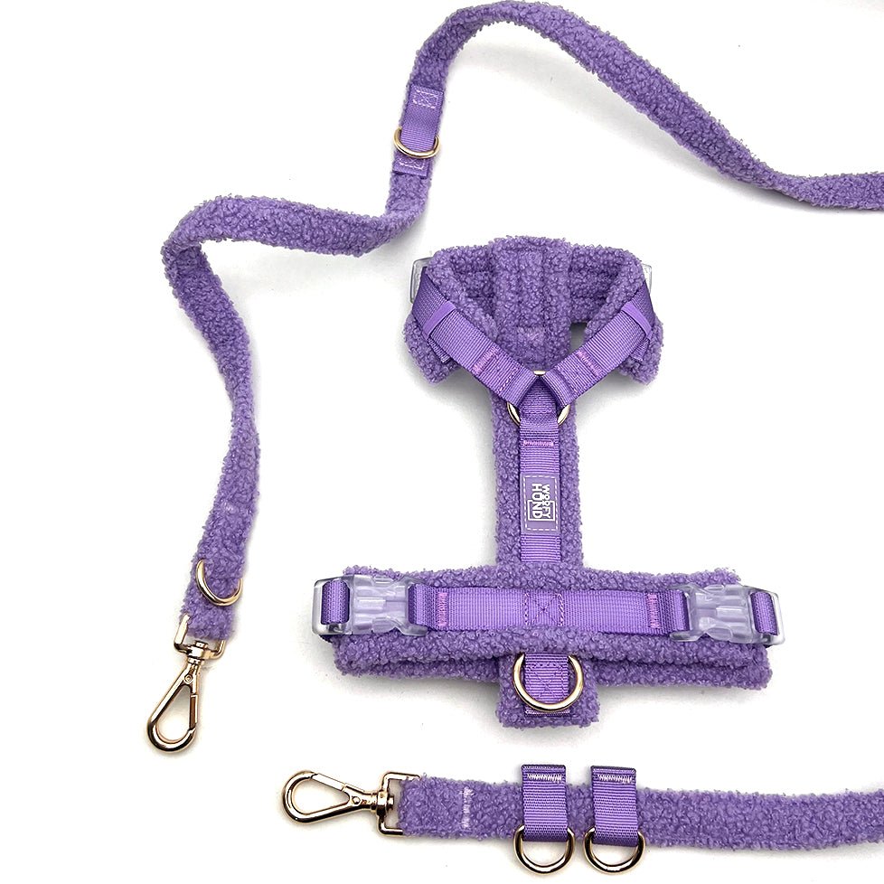 Hundegeschirr - Set Teddy Violett - Dulces Mascotas BCN