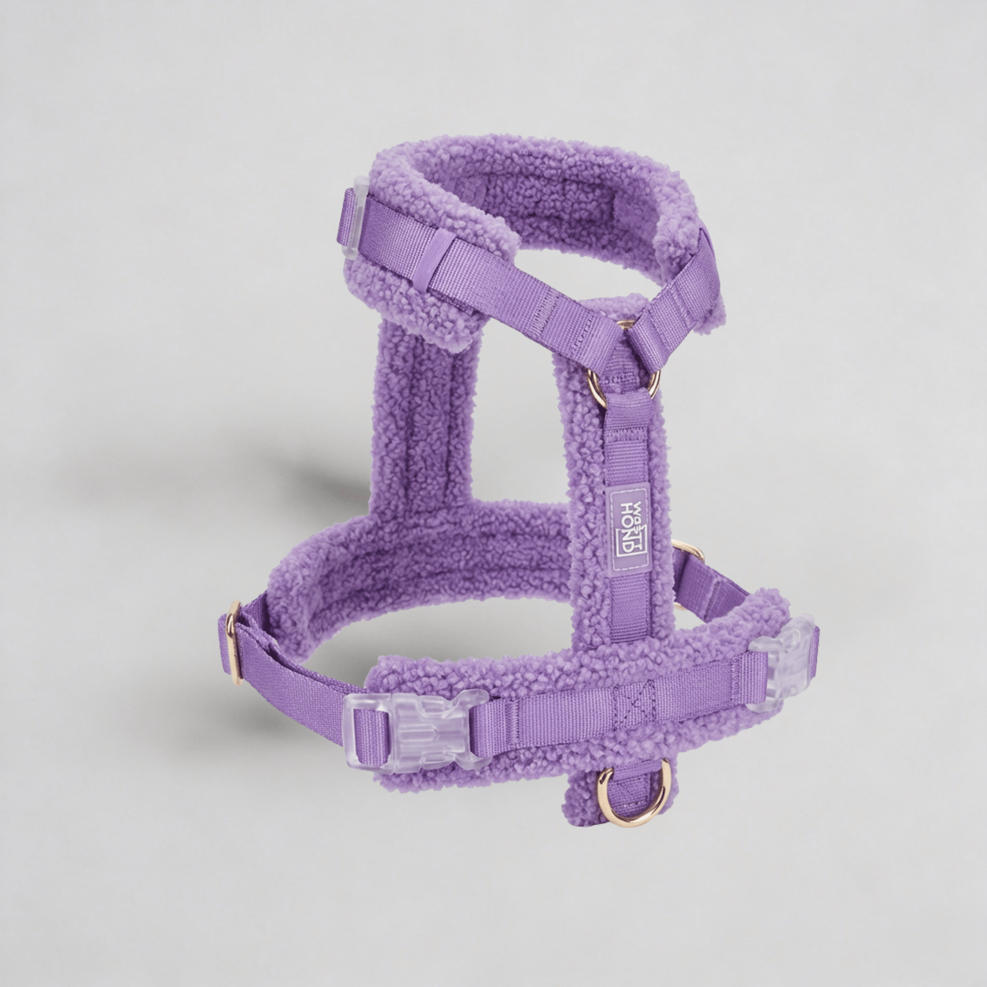 Hundegeschirr - Set Teddy Violett - Dulces Mascotas BCN