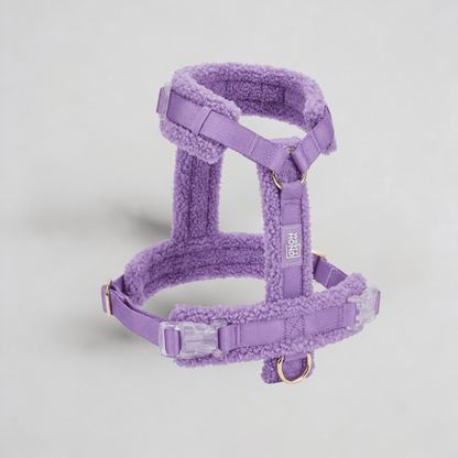 Hundegeschirr - Set Teddy Violett - Dulces Mascotas BCN