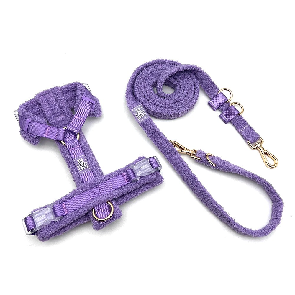 Hundegeschirr - Set Teddy Violett - Dulces Mascotas BCN
