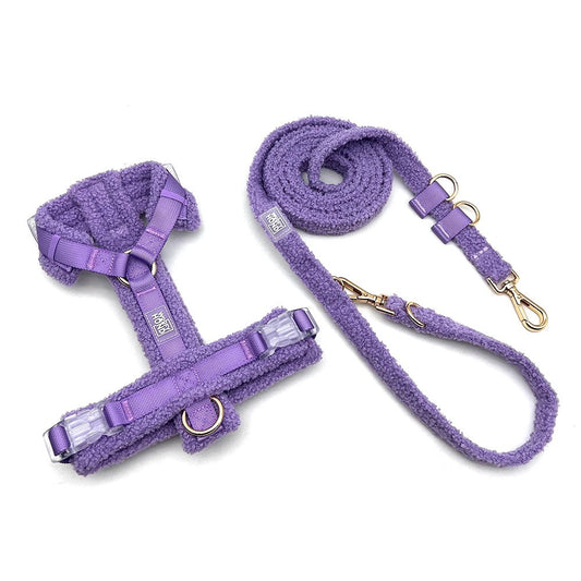 Hundegeschirr - Set Teddy Violett - Dulces Mascotas BCN