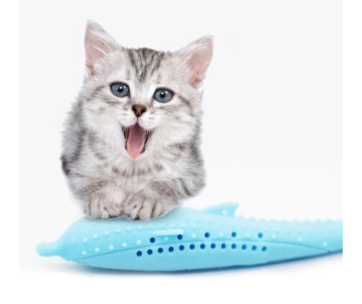 Interactive Cat Toothbrush - Dulces Mascotas BCN