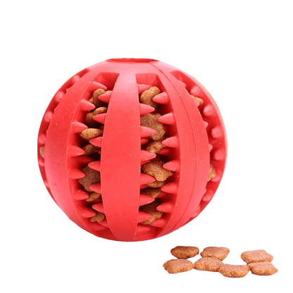Juguete Dental Masticable para Perros | Limpieza Dientes Natural - Dulces Mascotas BCN
