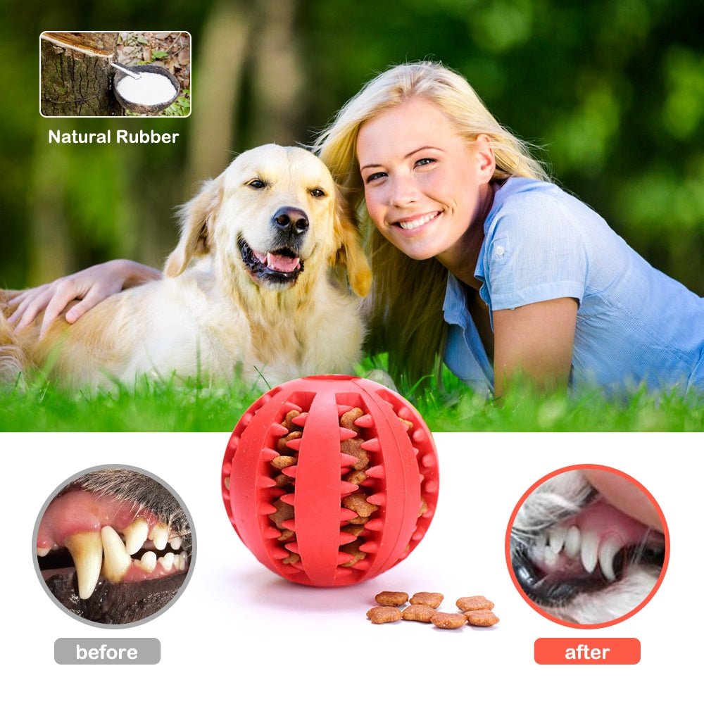 Juguete Dental Masticable para Perros | Limpieza Dientes Natural - Dulces Mascotas BCN