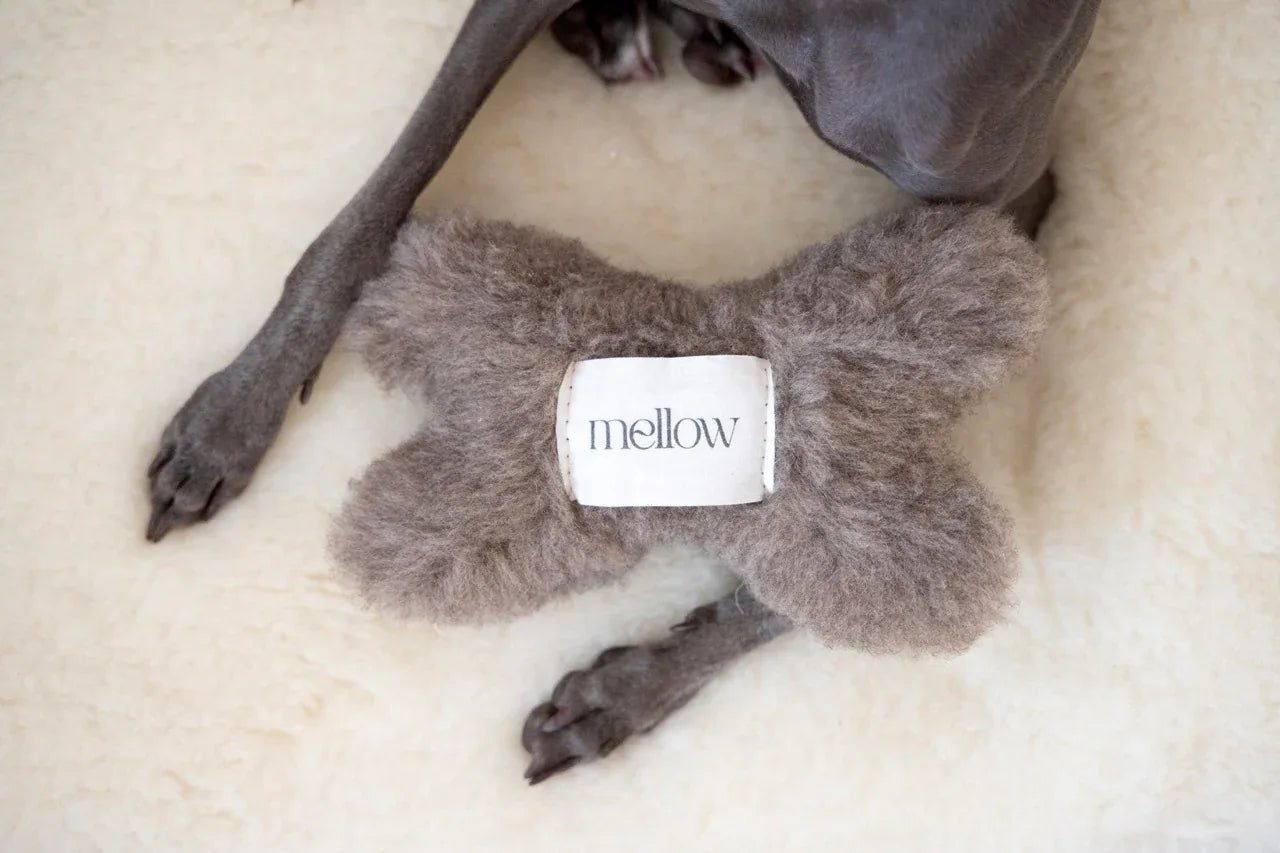Juguete Ecológico Hueso para Perros de Lana Natural - Beige - Dulces Mascotas BCN